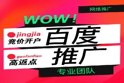 竞价推广与SEM托管结合的营销策略——某电商平台的实践